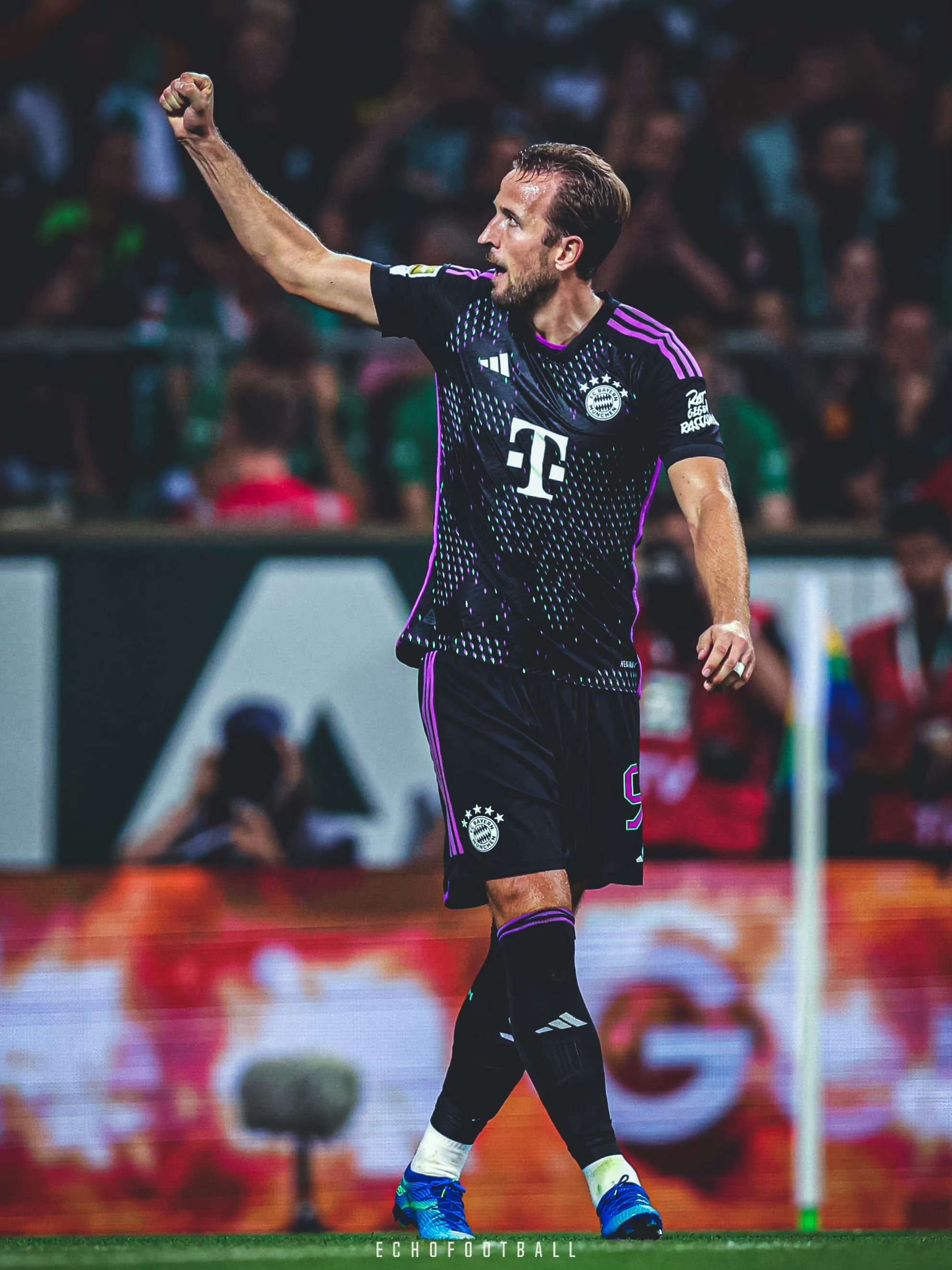 葵花籽榨油设备