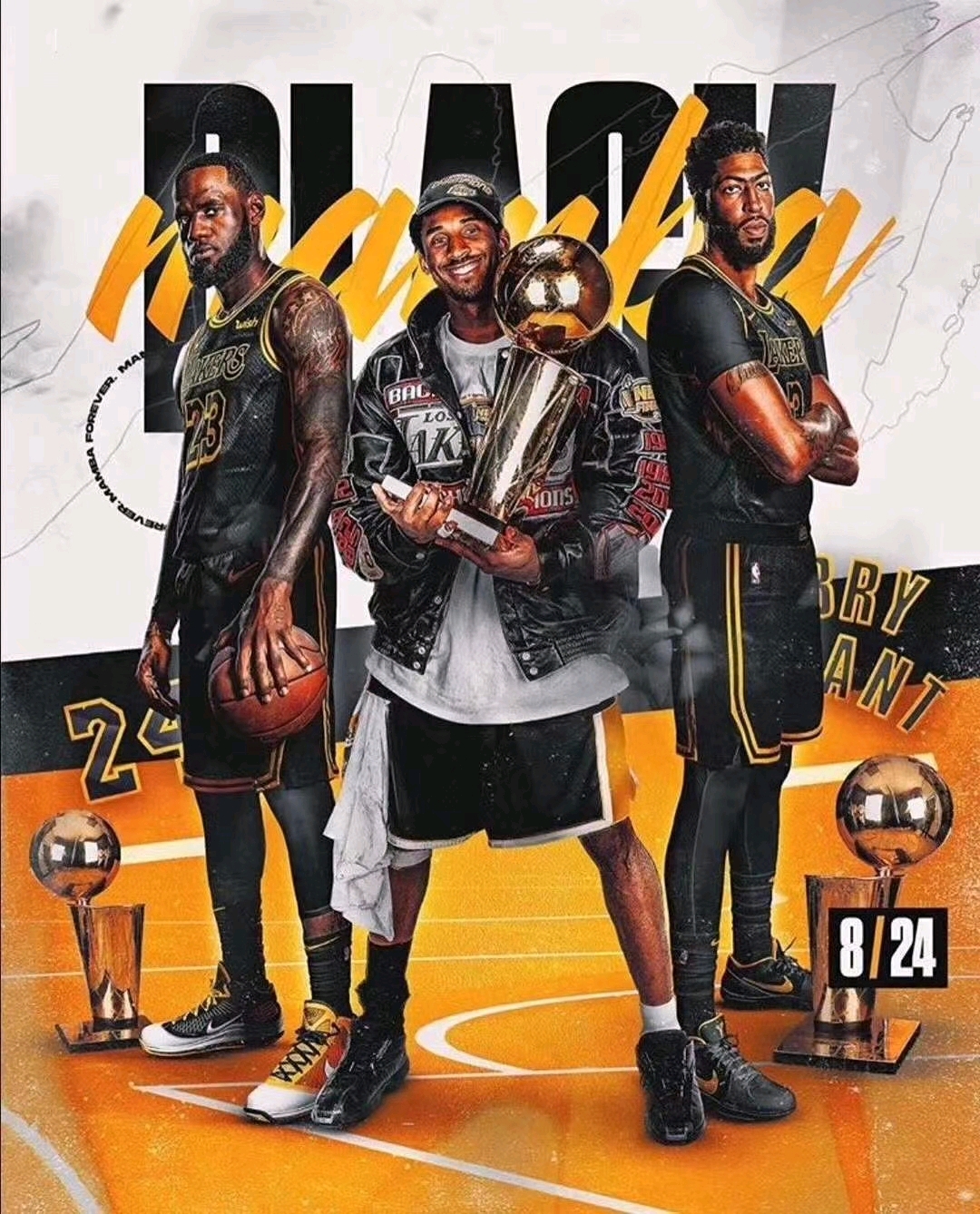 30吨植物油精炼设备