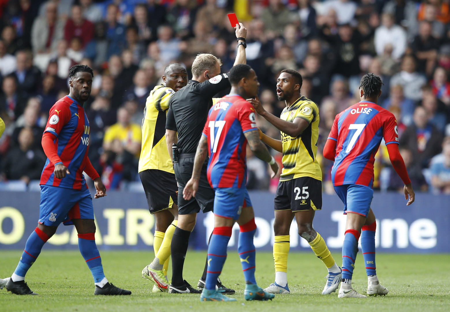 日处理50T动物油熬练生产线